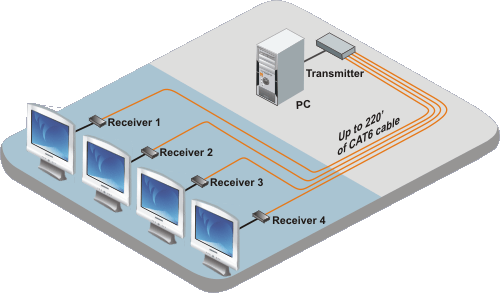 CrystalView DVI Multi application